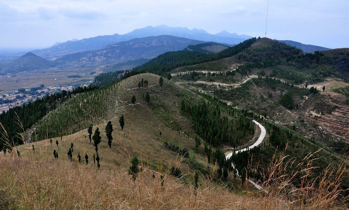 苍溪九龙山风景区图片图片