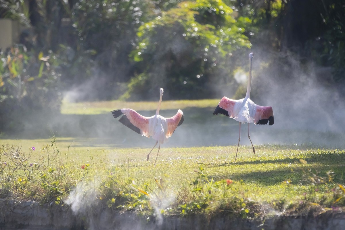 山清水秀多仙气