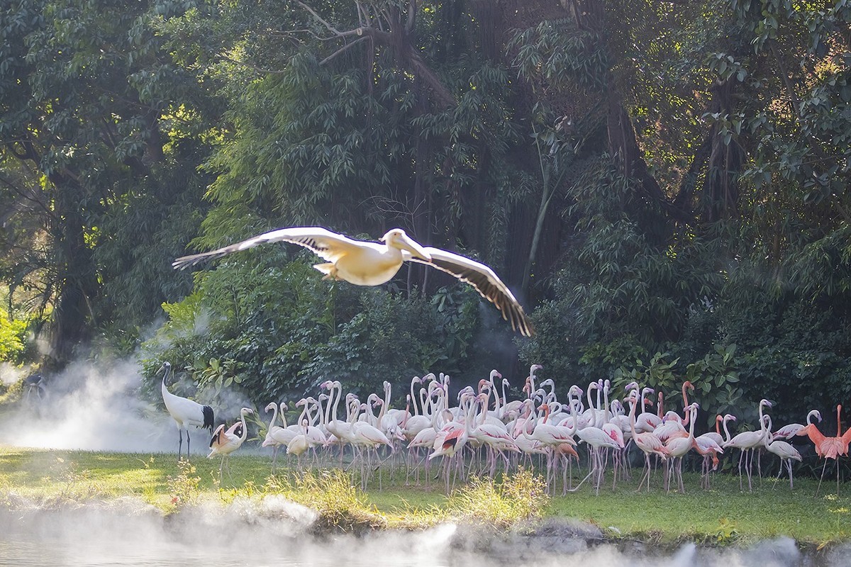 山清水秀多仙气