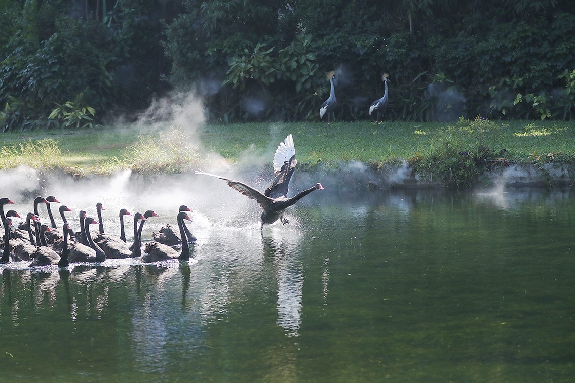 山清水秀多仙气