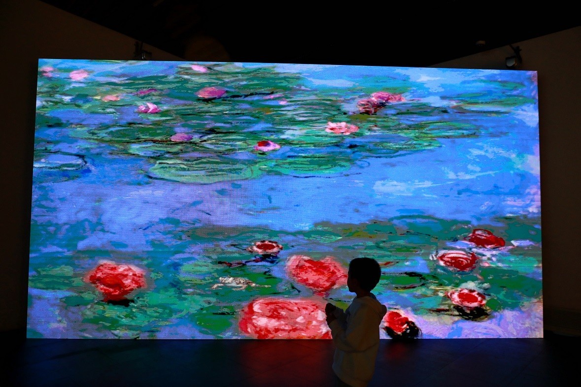 最近的一些随拍