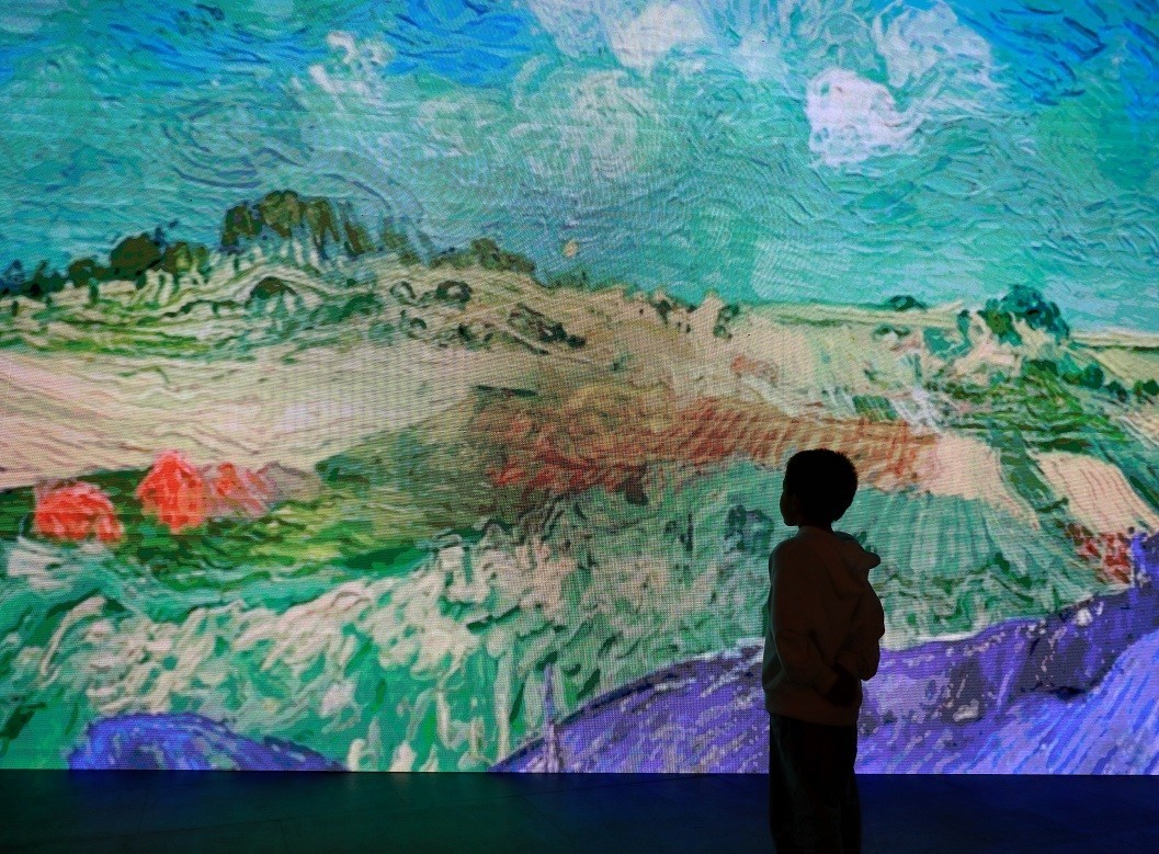 最近的一些随拍