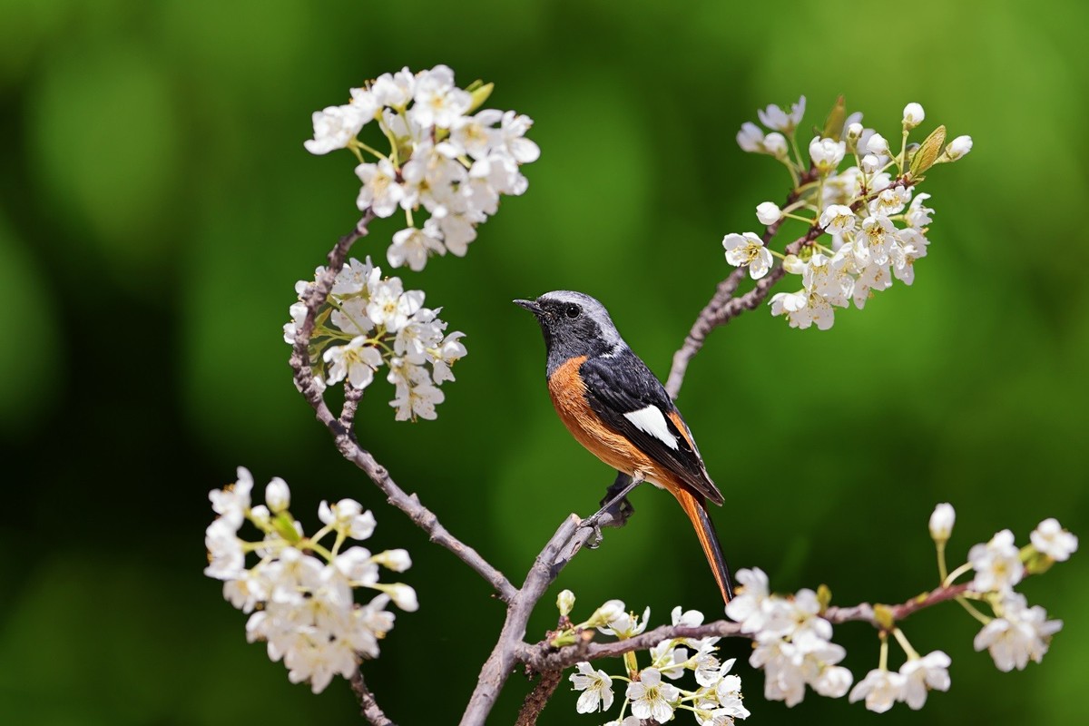 祝愿亲们早日摆脱“羊”的魔咒，兔年健健康康，快快乐乐！
