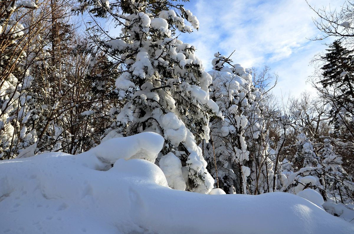 亚布力——二浪河子雪乡游拍（5）