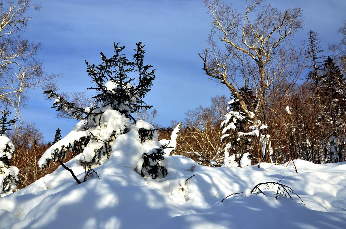 亚布力——二浪河子雪乡游拍（5）
