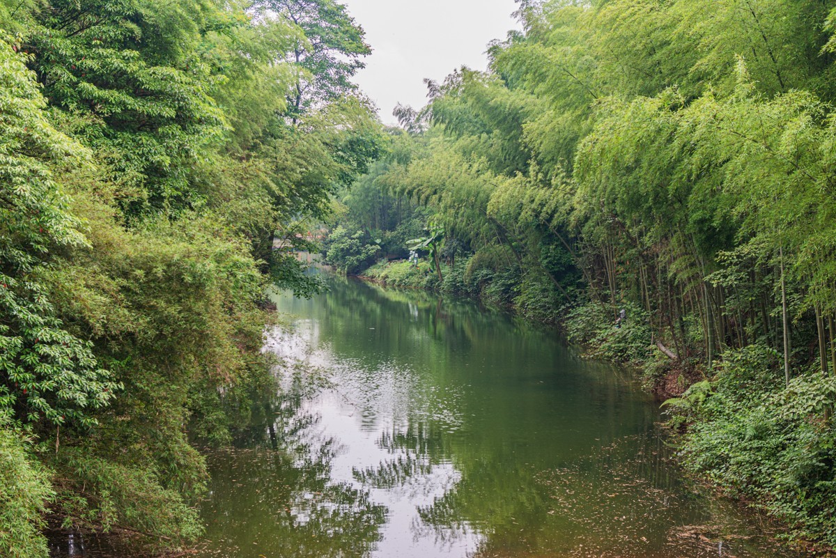 自驾游20230529蜀南竹海