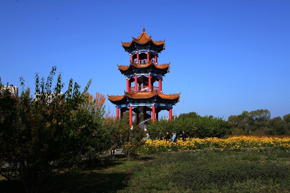 江滨公园秋色（4）