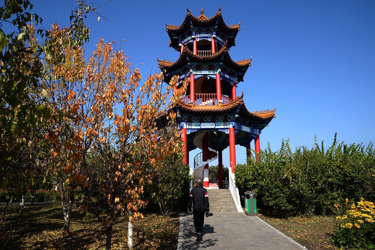 江滨公园秋色（4）