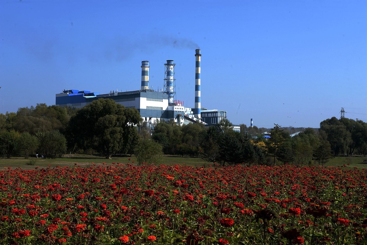 江滨公园秋色（4）