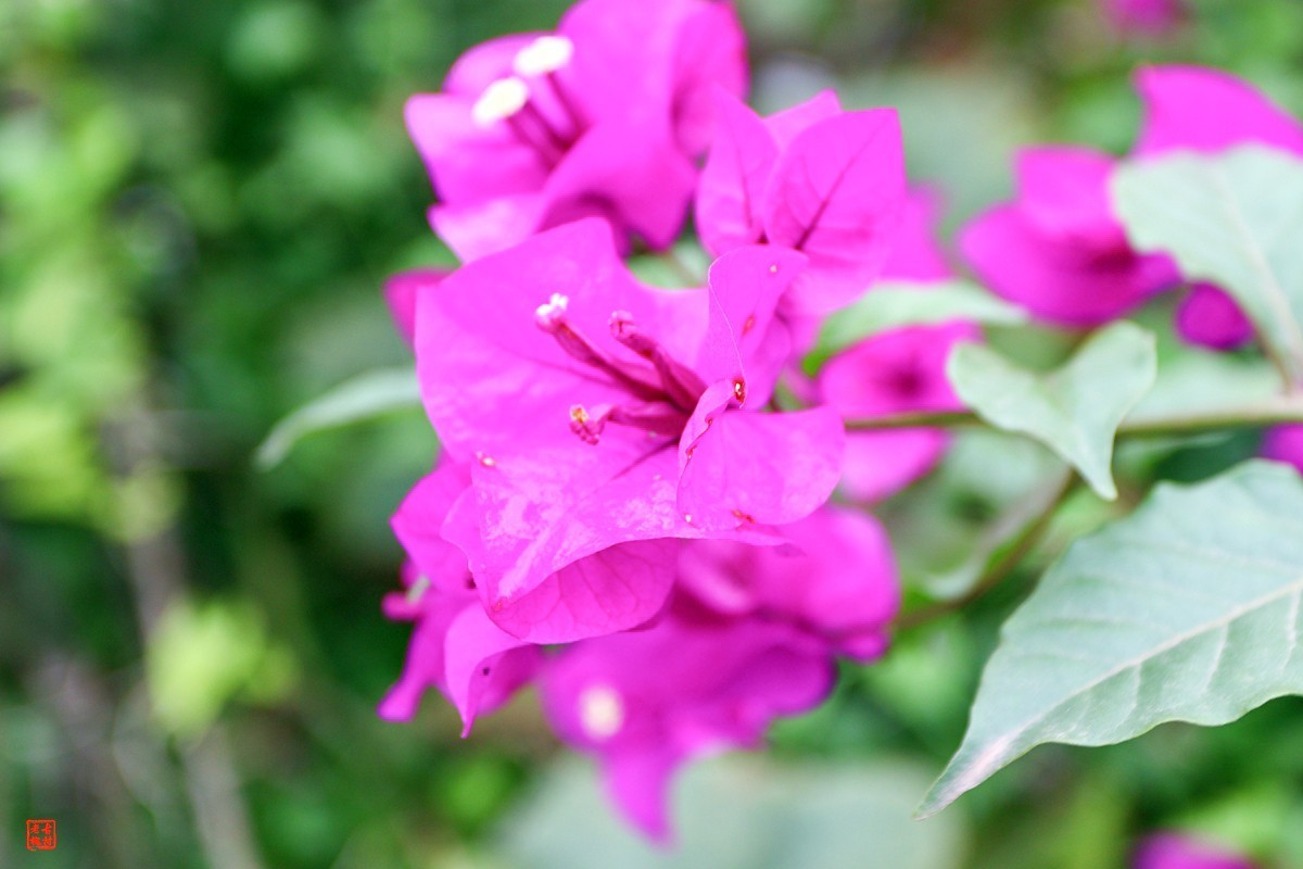 家人随拍——农家乐（2）