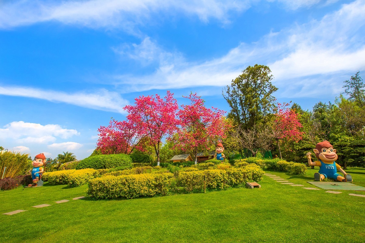 2025-01-19昆明世博园（十三）