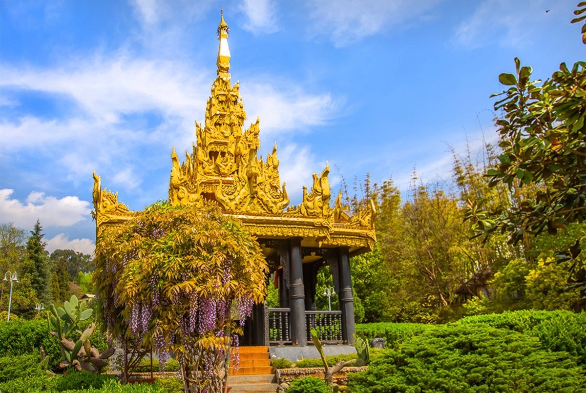 2025-01-19昆明世博园（十三）