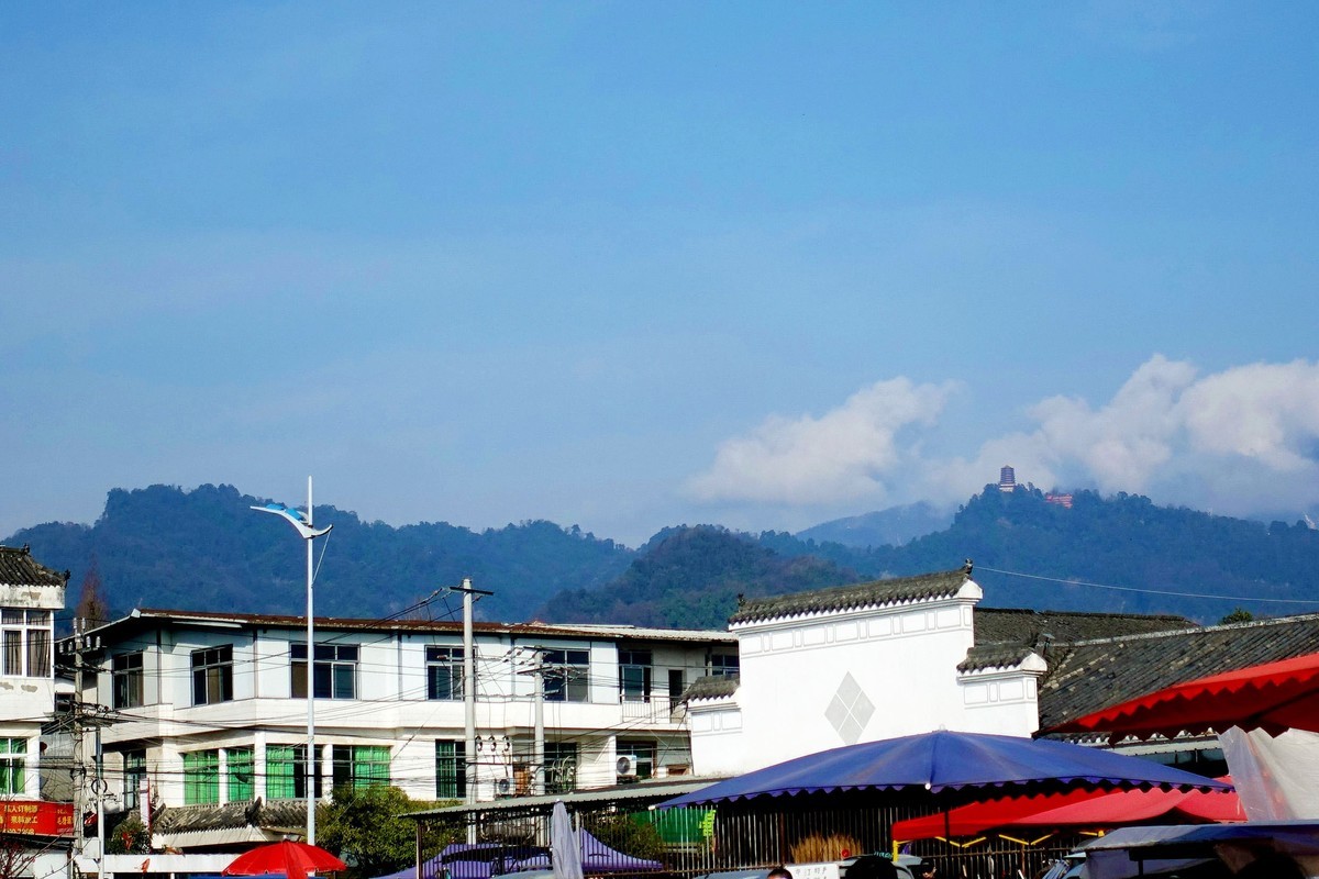 青城山下春意浓