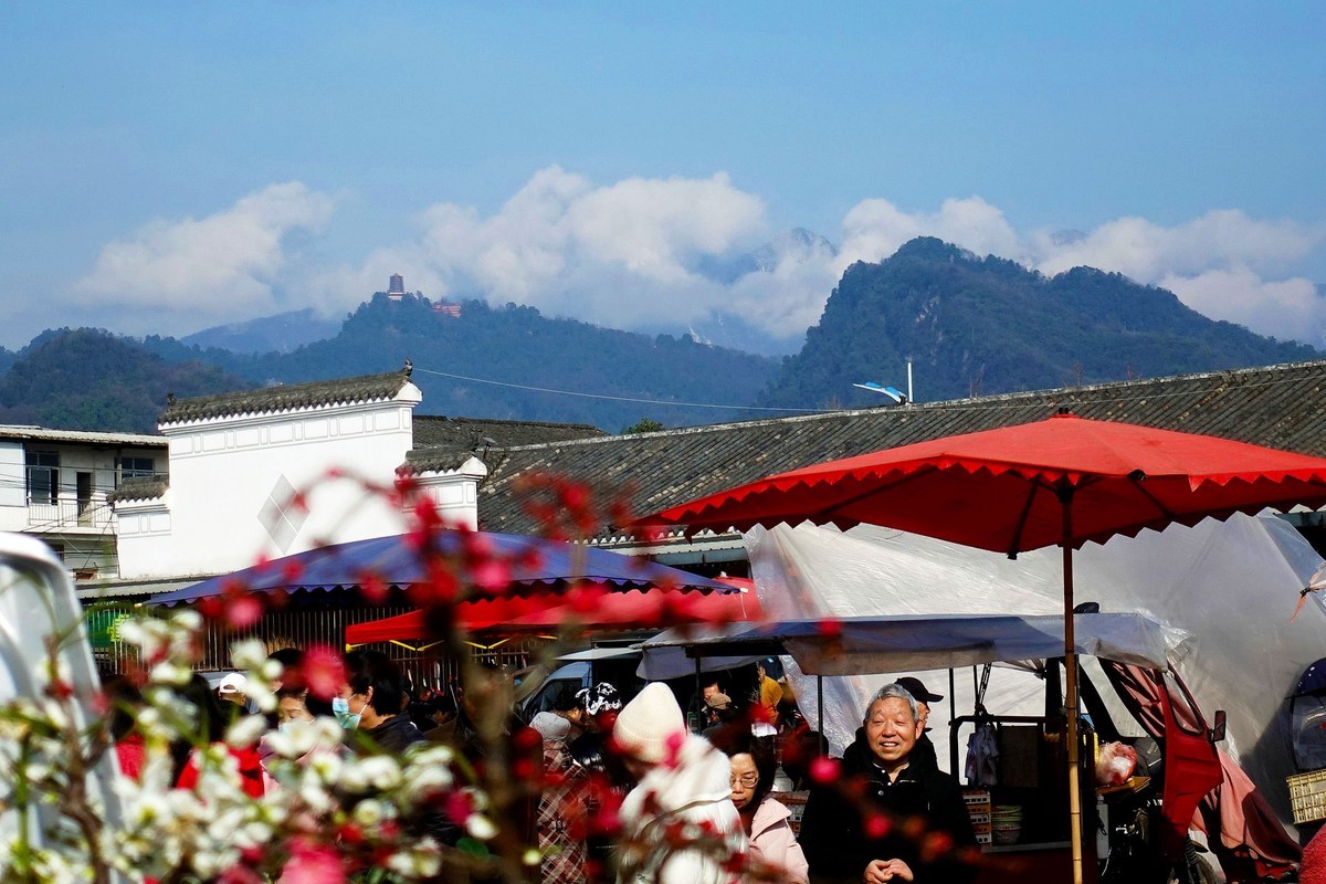 青城山下春意浓