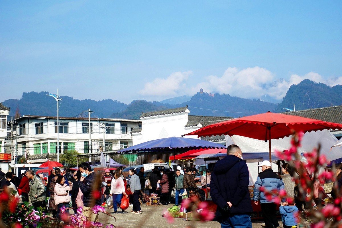 青城山下春意浓