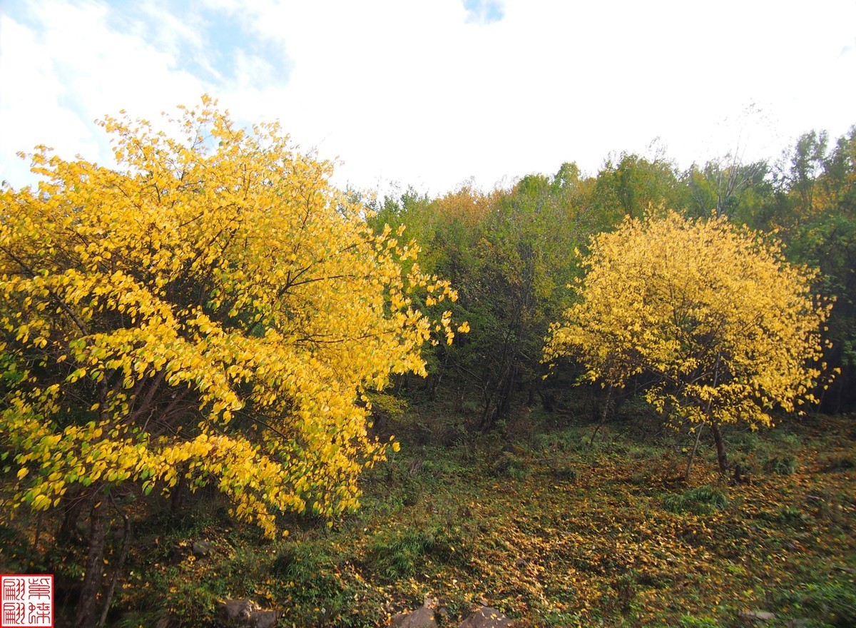 2024八丹路随拍（12）