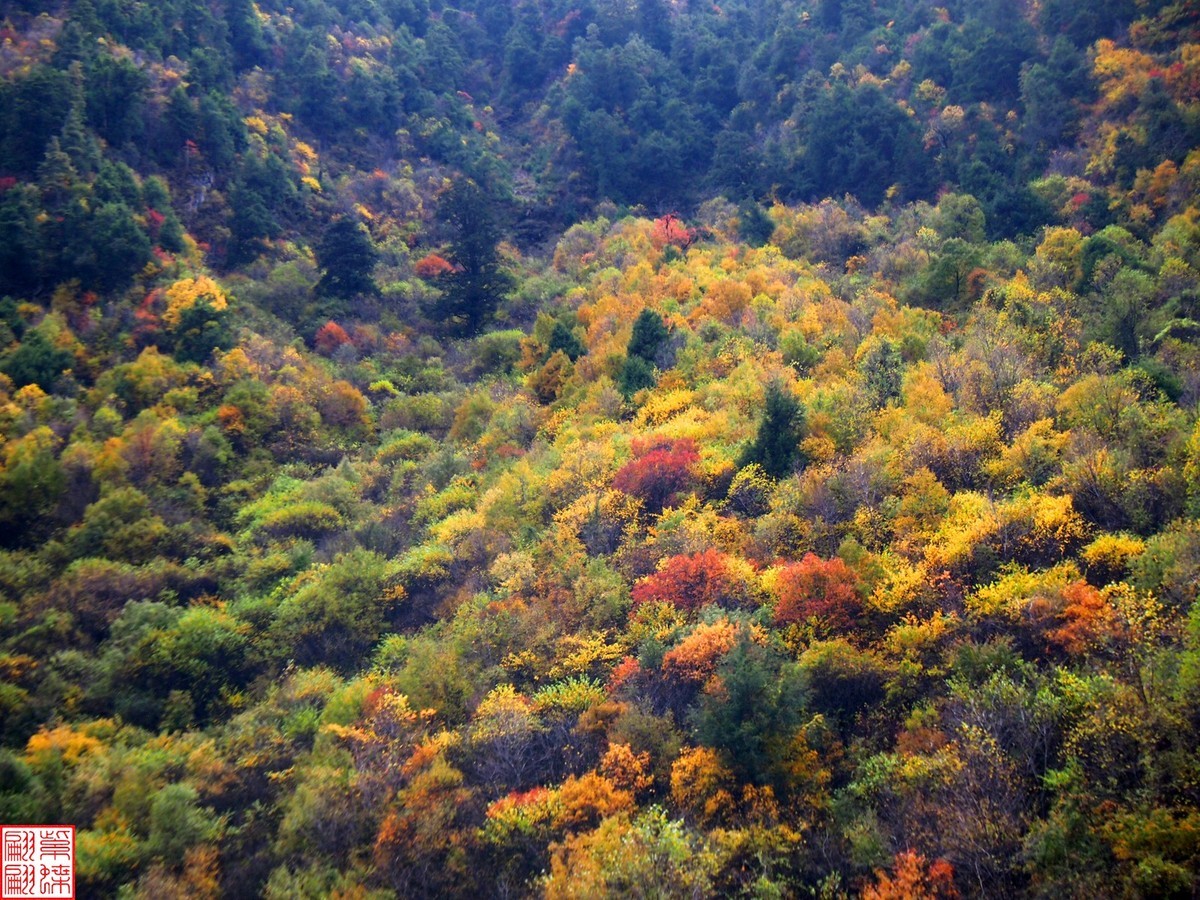 2024八丹路随拍（12）