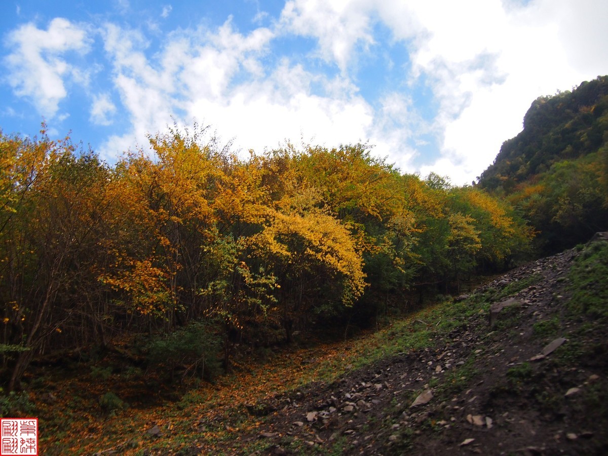 2024八丹路随拍（12）