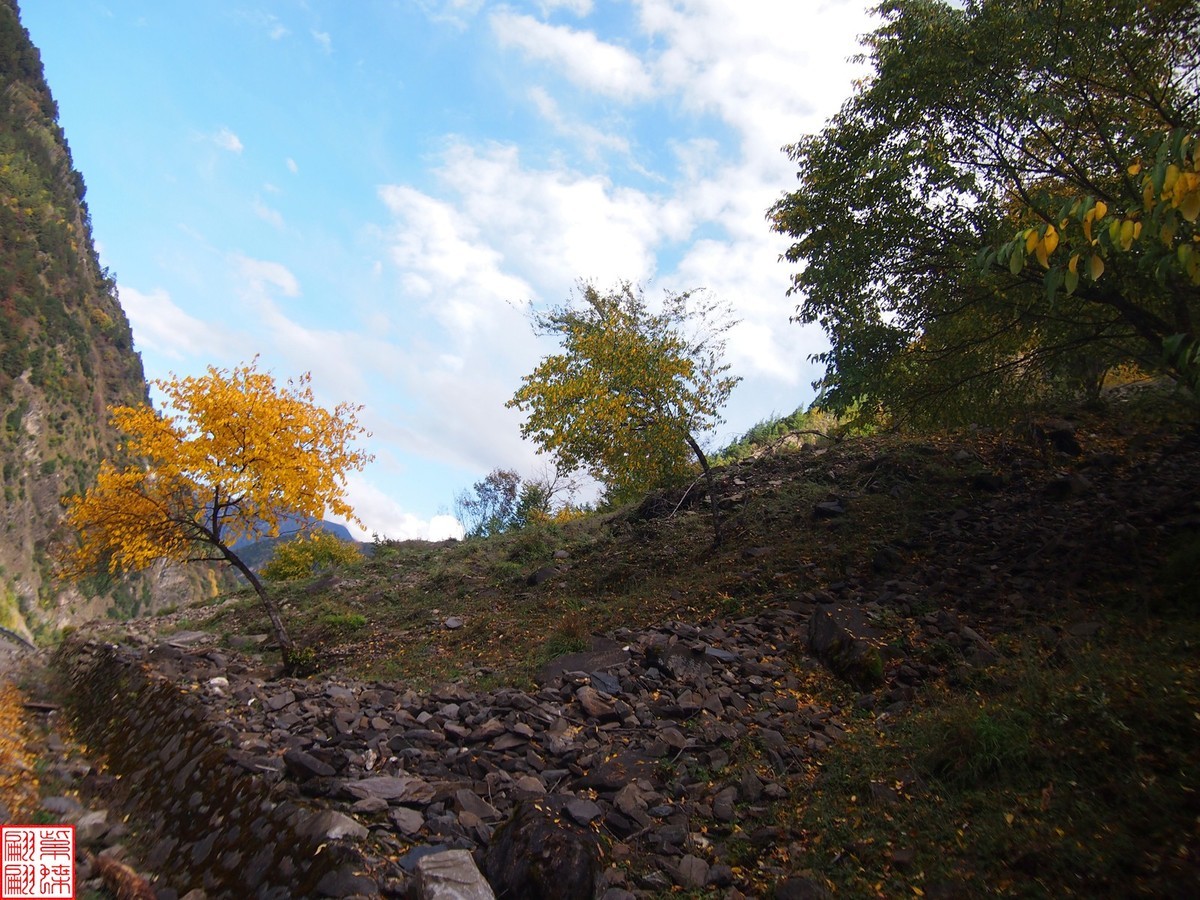 2024八丹路随拍（12）