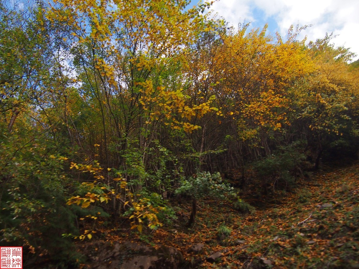 2024八丹路随拍（12）