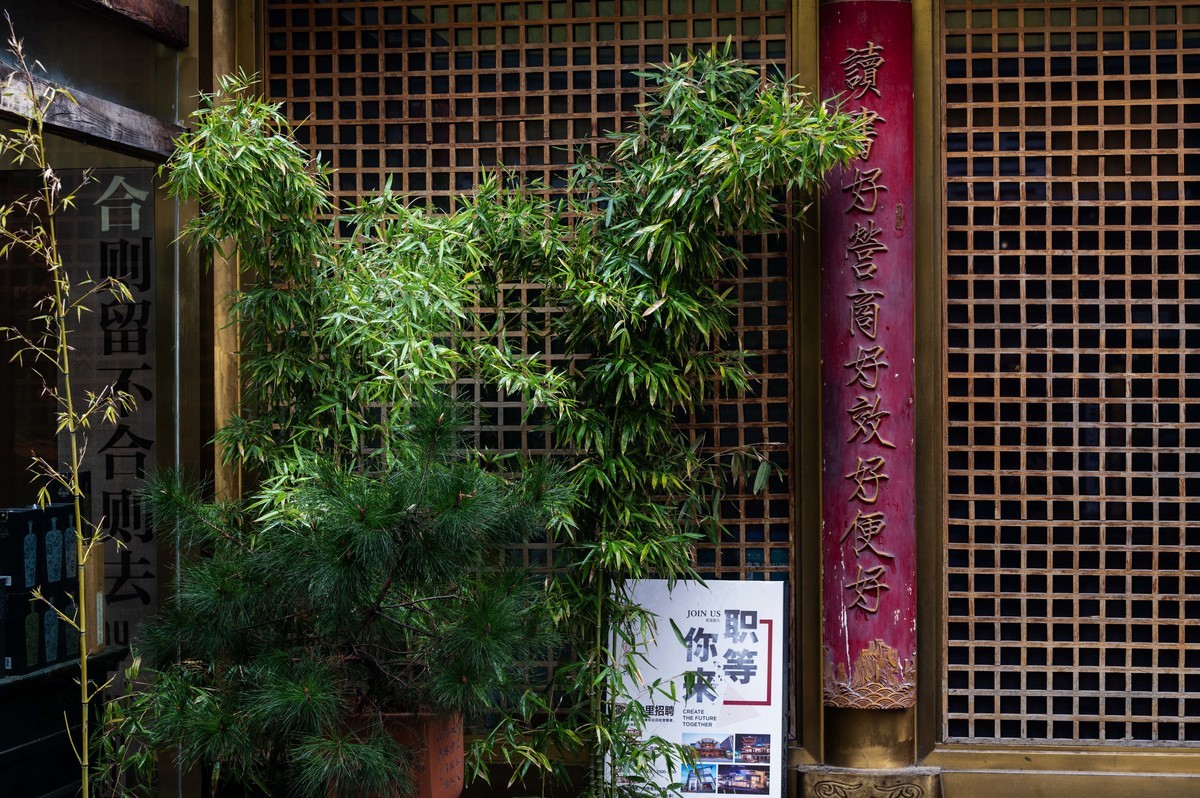 庐州印象（443）罍（lei）街