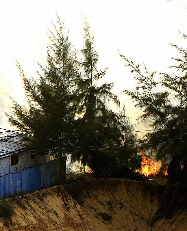 《不老松：忆海南游记》（12）真着火了！來了两部救火车才把火撲灭！