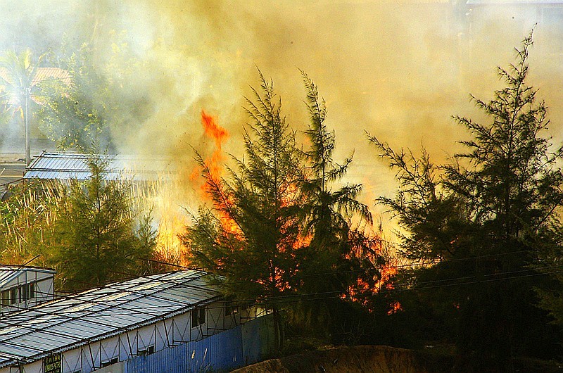 《不老松：忆海南游记》（12）真着火了！來了两部救火车才把火撲灭！