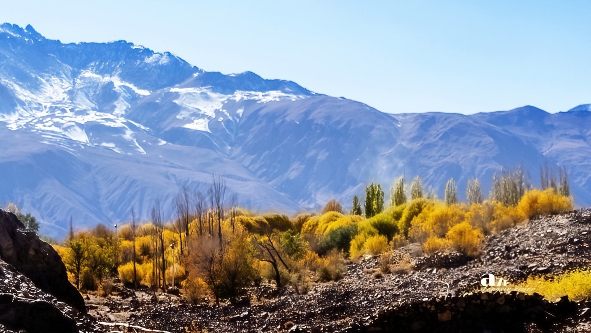 南疆行——帕米尔的石头城与金草滩（4）