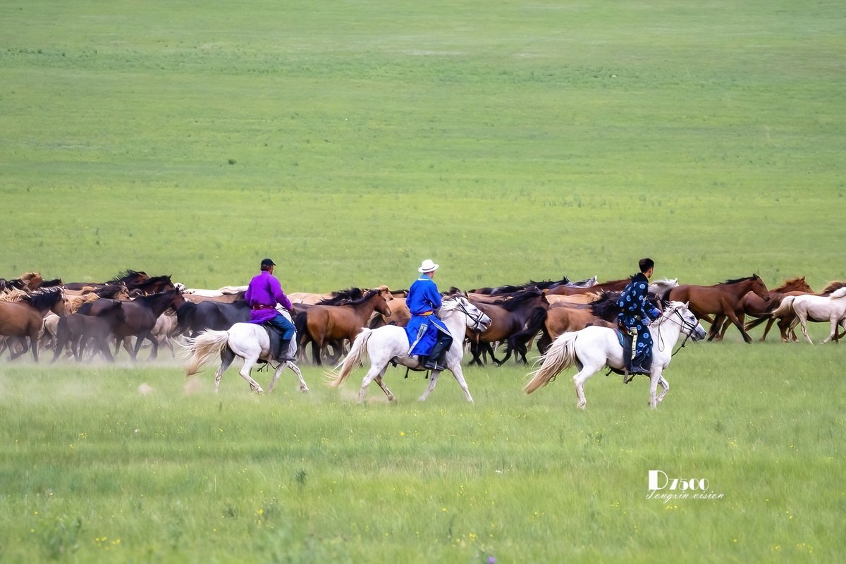 骏马驰骋（10）