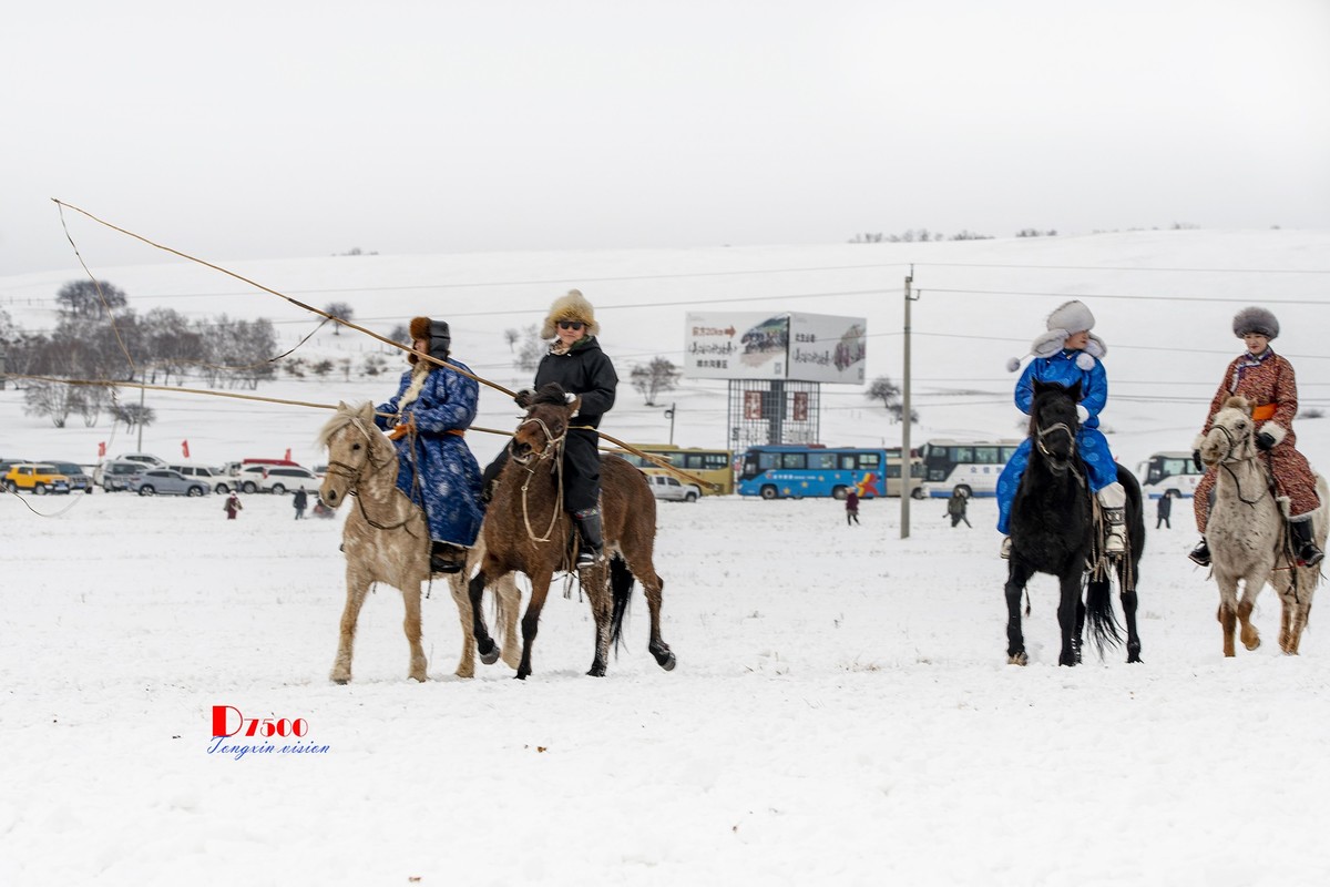 强健&靓丽的牧马人（74）