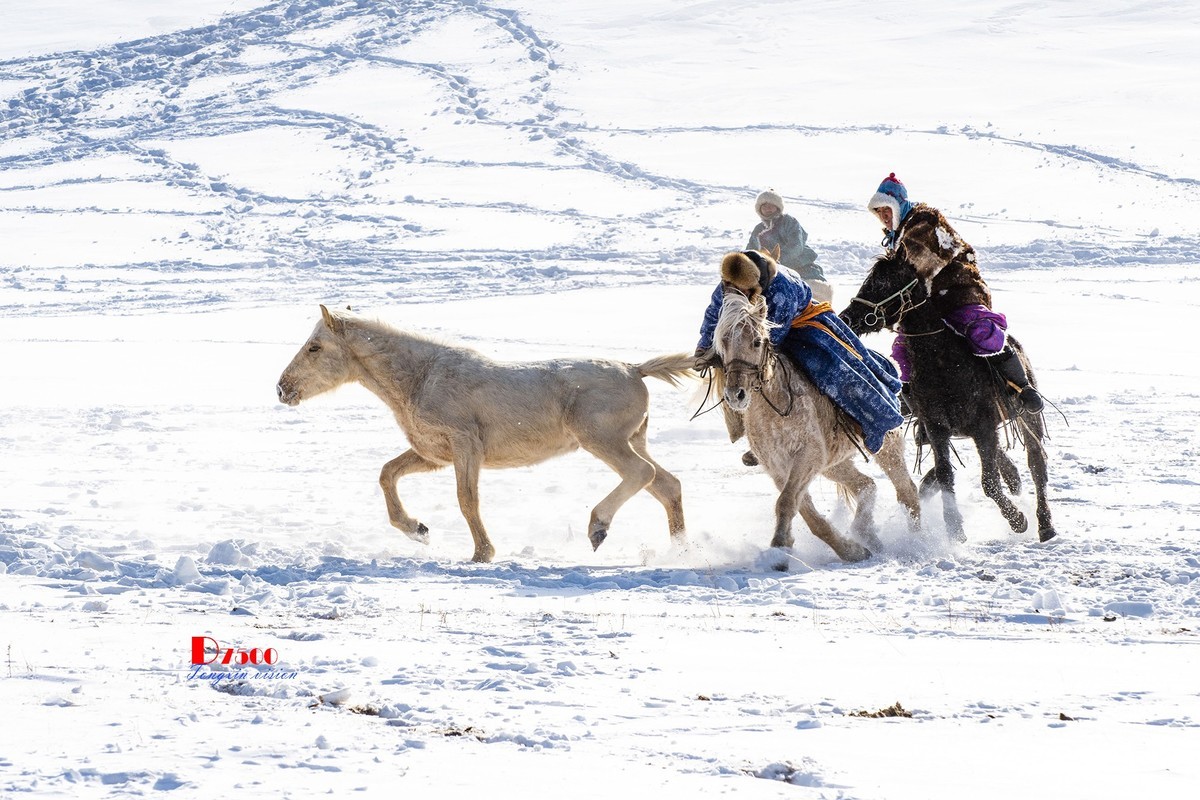 强健&靓丽的牧马人（74）