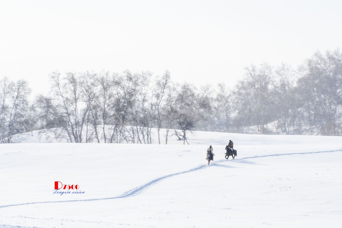 强健&靓丽的牧马人（74）