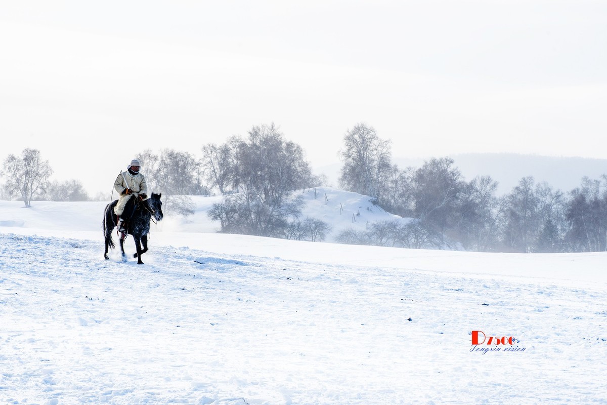 强健&靓丽的牧马人（74）