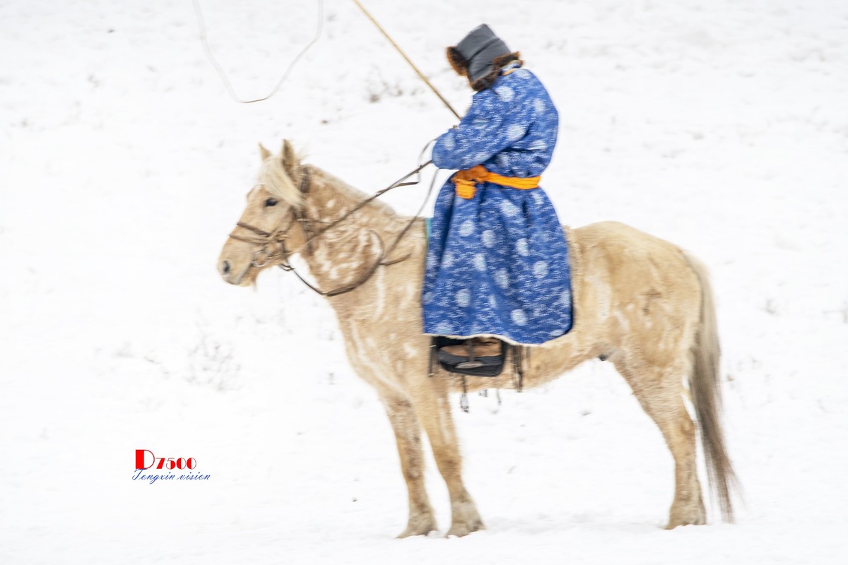 强健&靓丽的牧马人（74）