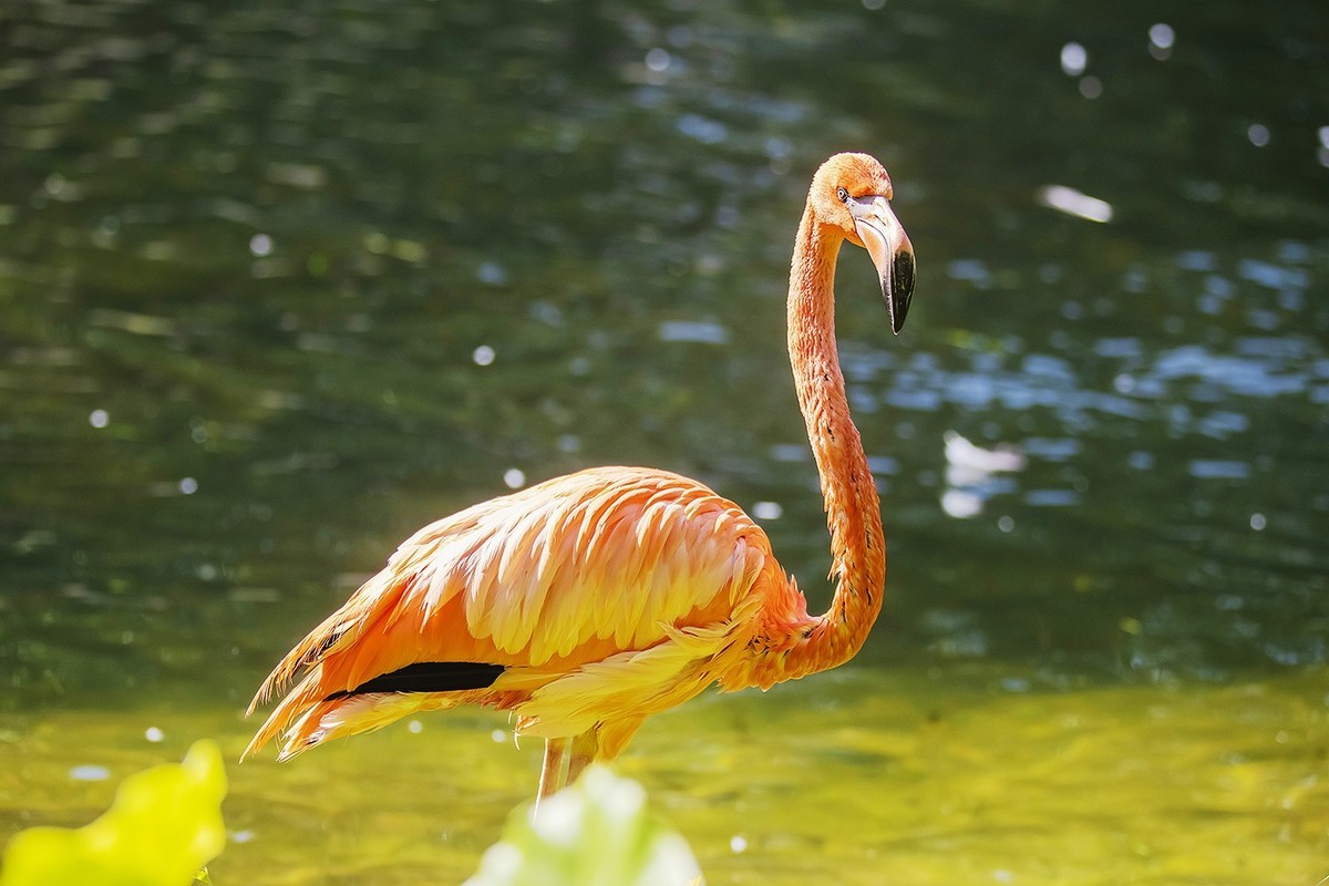 山清水秀多仙气