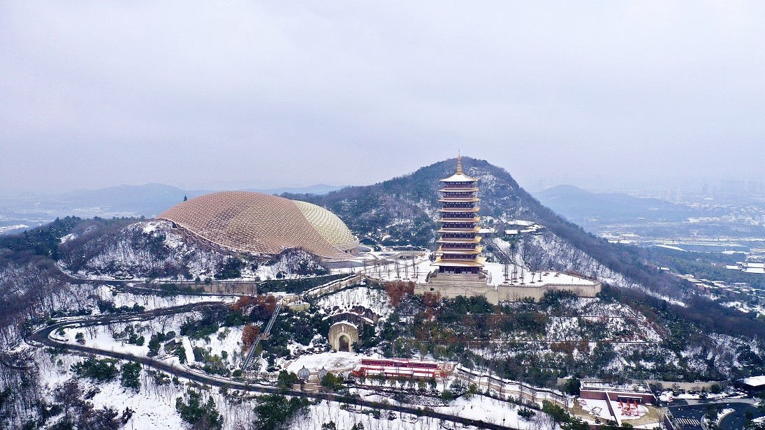 最近的一些随拍