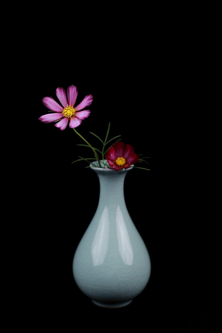 最近的一些随拍