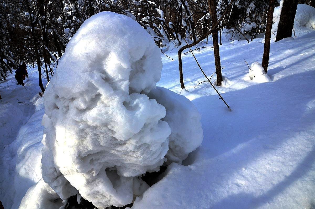 亚布力——二浪河子雪乡游拍（5）