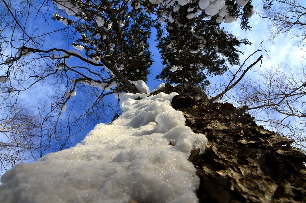 亚布力——二浪河子雪乡游拍（5）