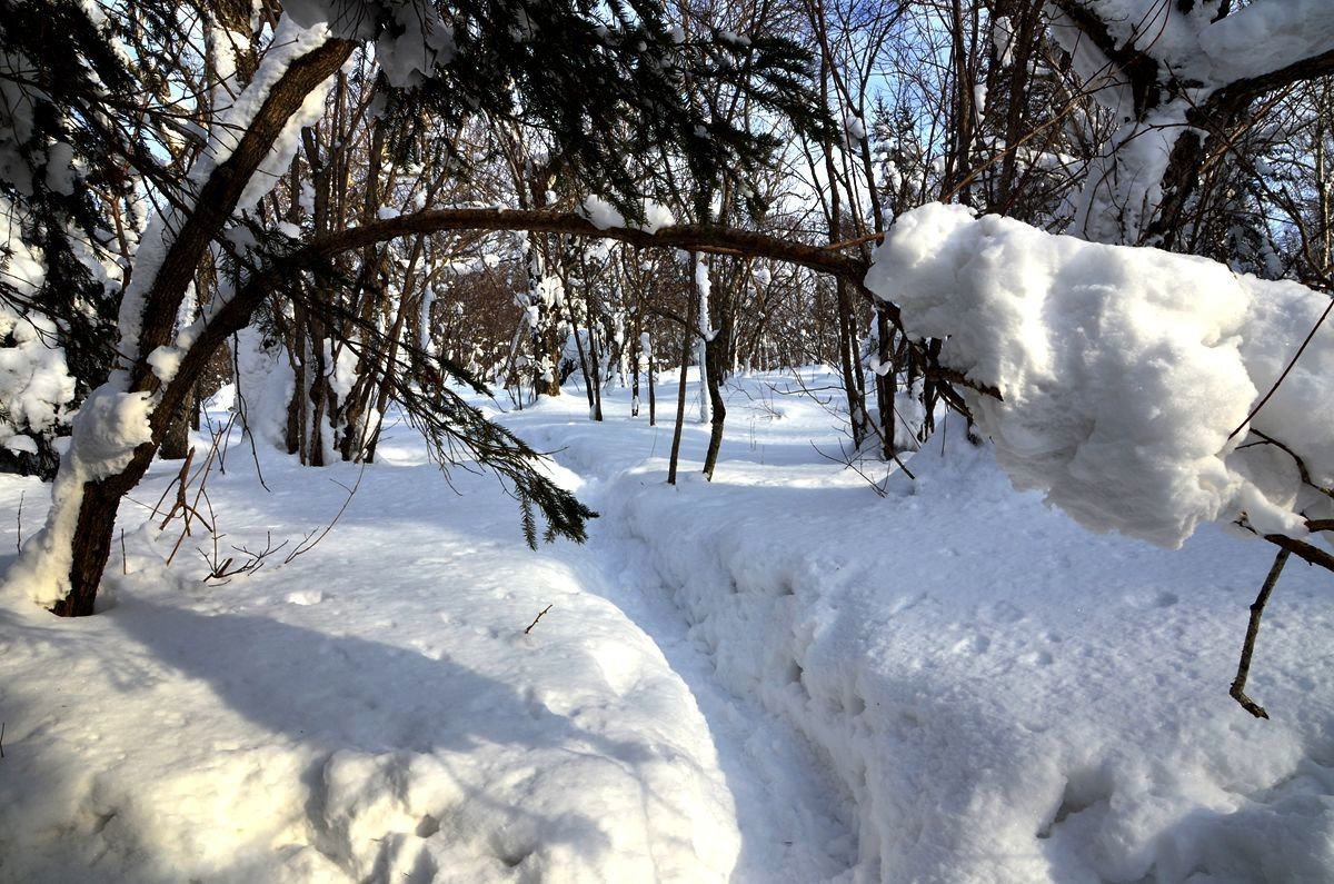 亚布力——二浪河子雪乡游拍（5）