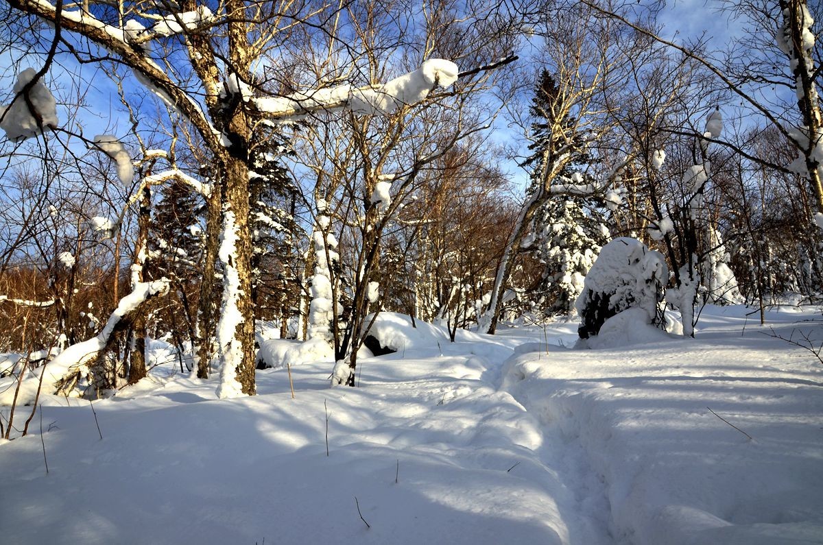 亚布力——二浪河子雪乡游拍（5）