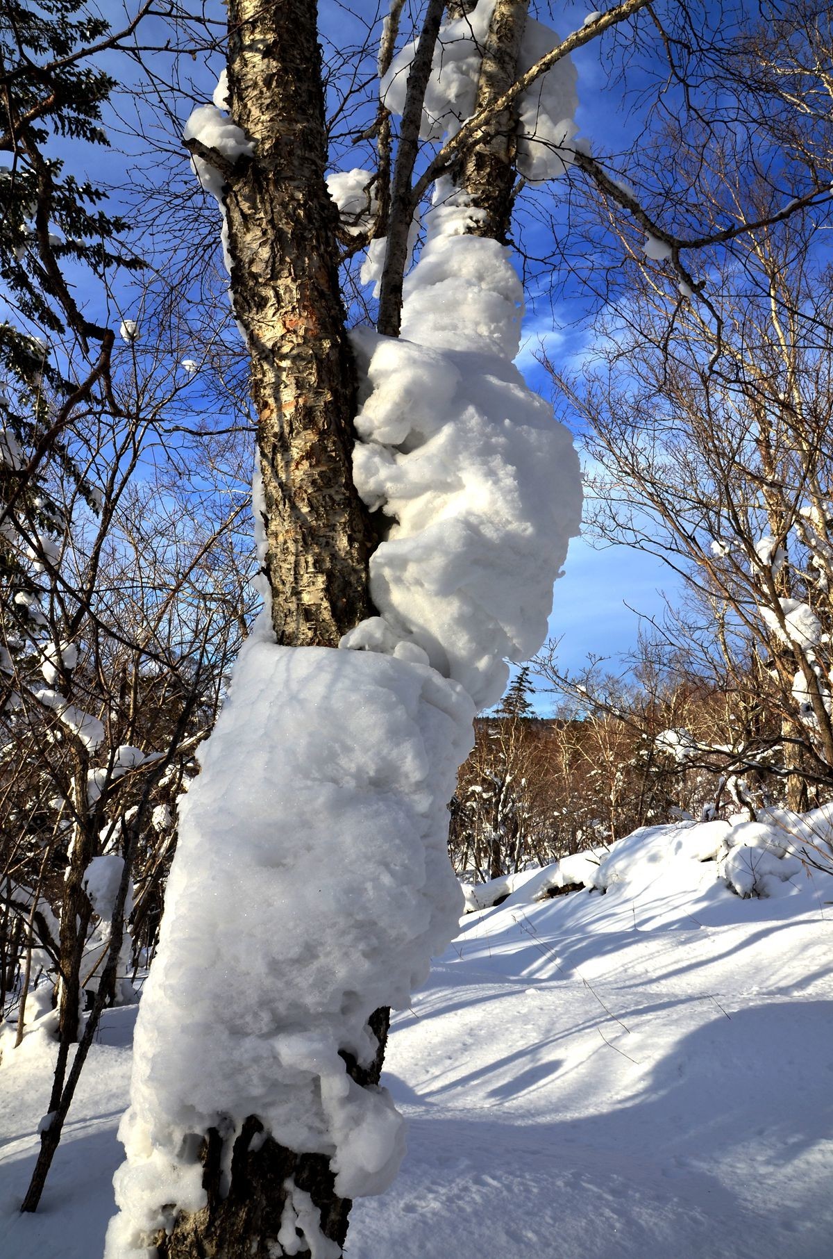 亚布力——二浪河子雪乡游拍（5）