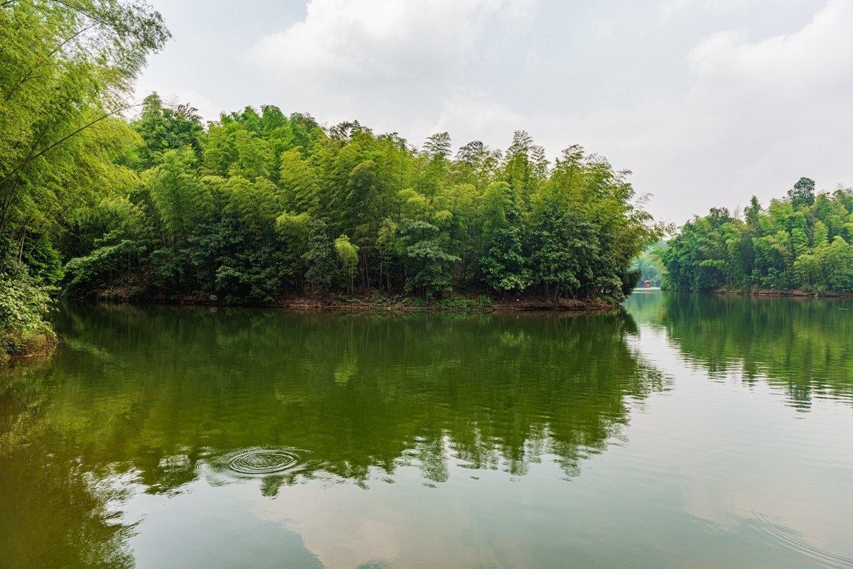 自驾游20230529蜀南竹海