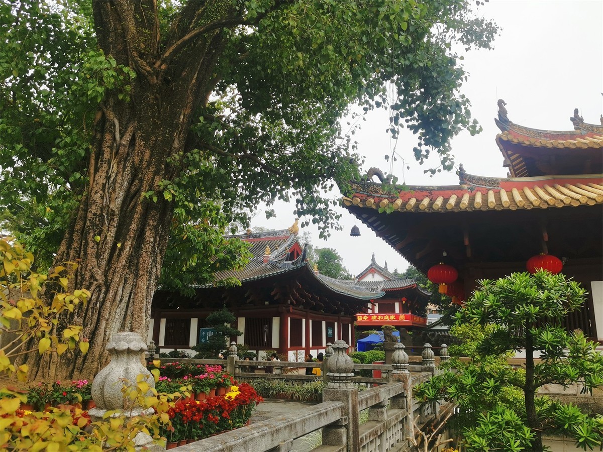 广州光孝寺