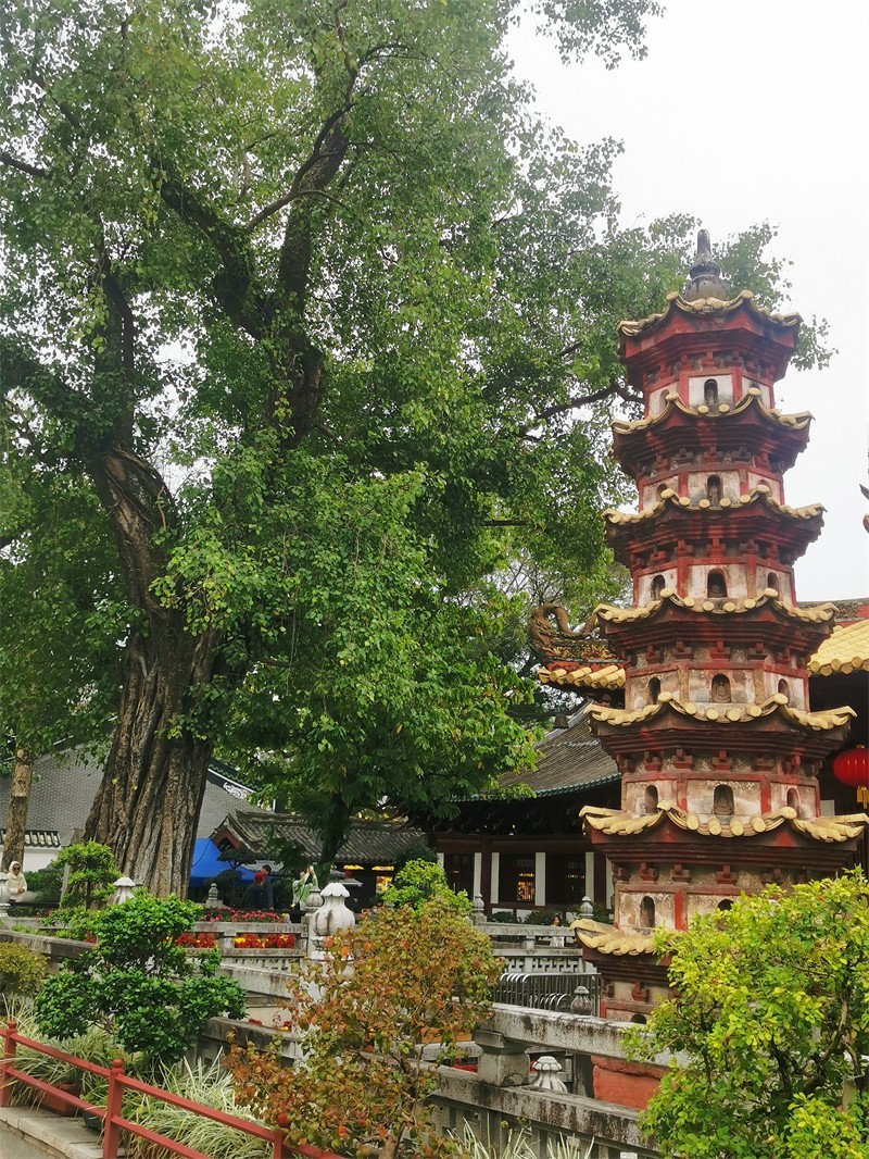 广州光孝寺