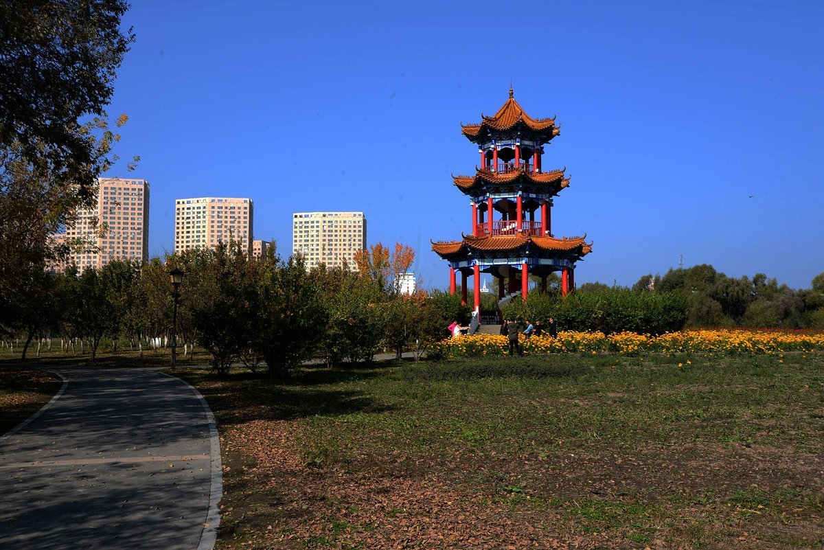 江滨公园秋色（4）