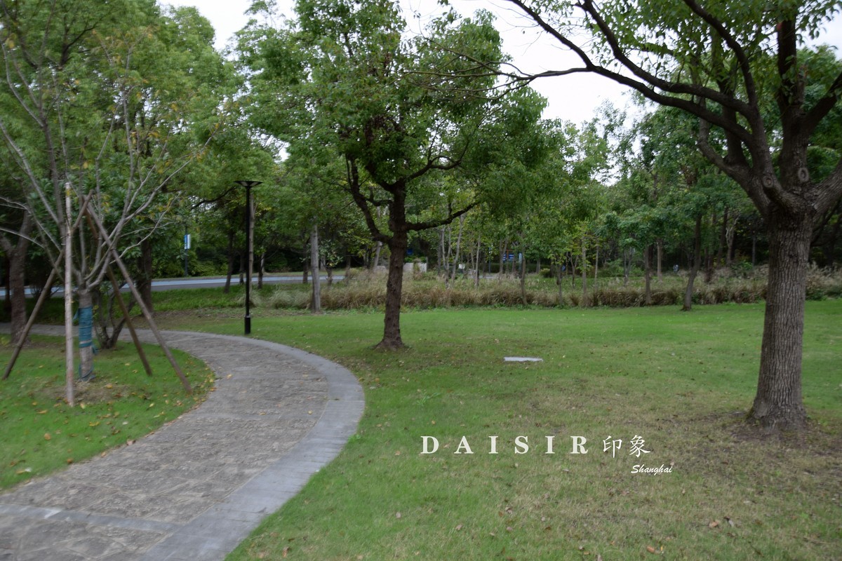 游吴淞炮台湾湿地公园续七