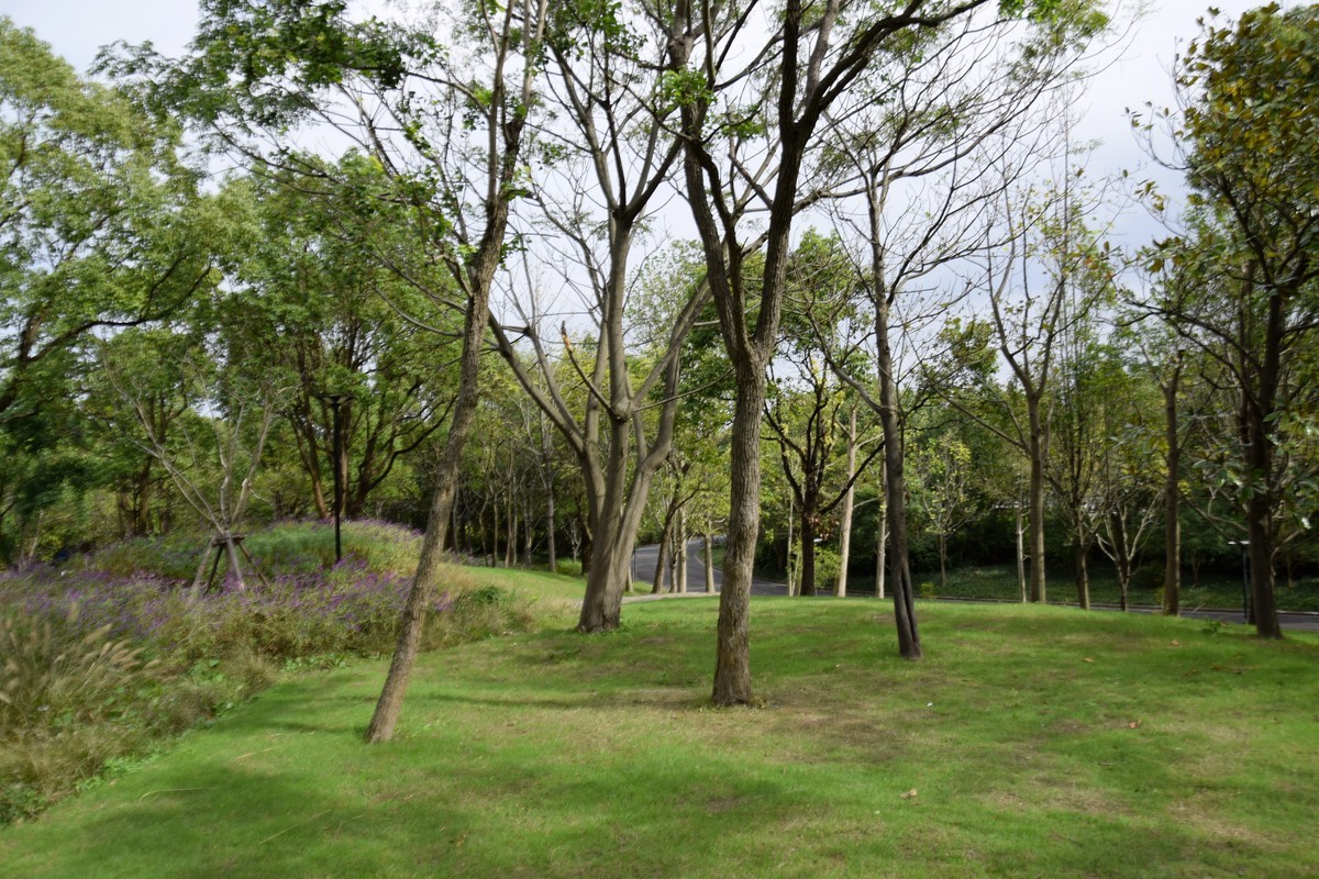 游吴淞炮台湾湿地公园续七