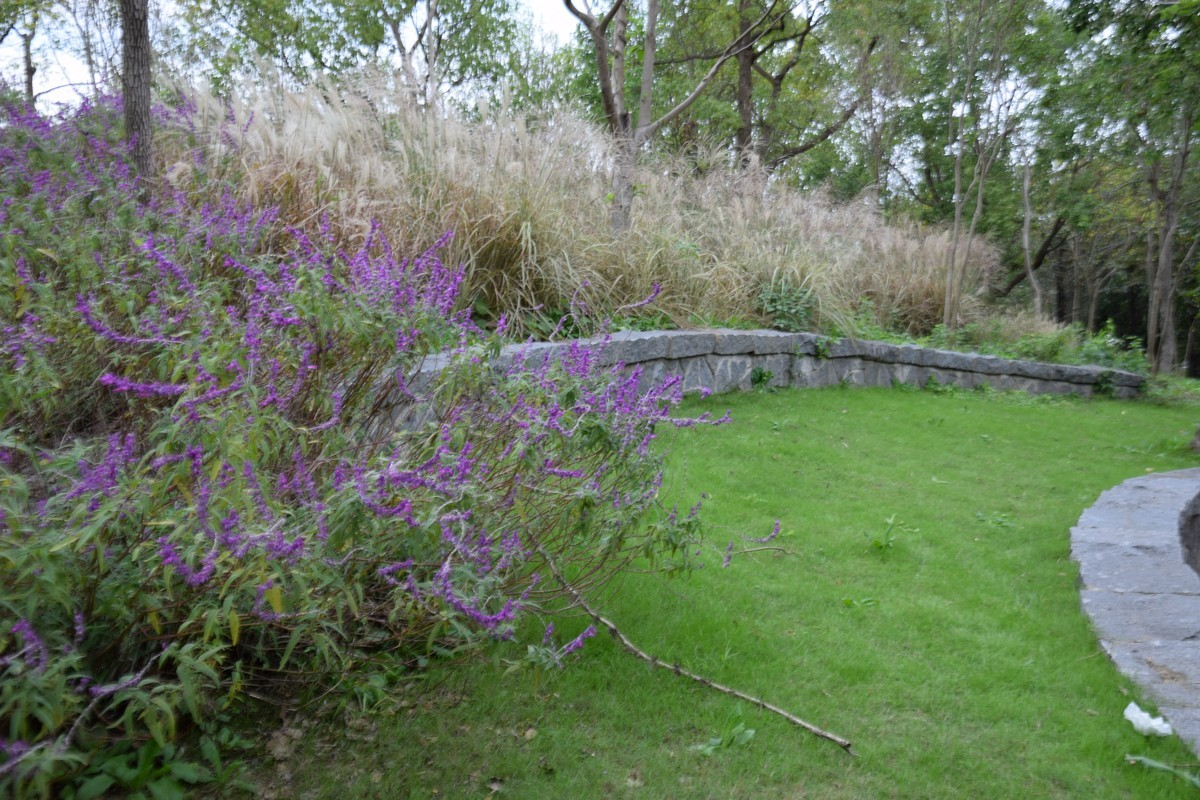 游吴淞炮台湾湿地公园续七