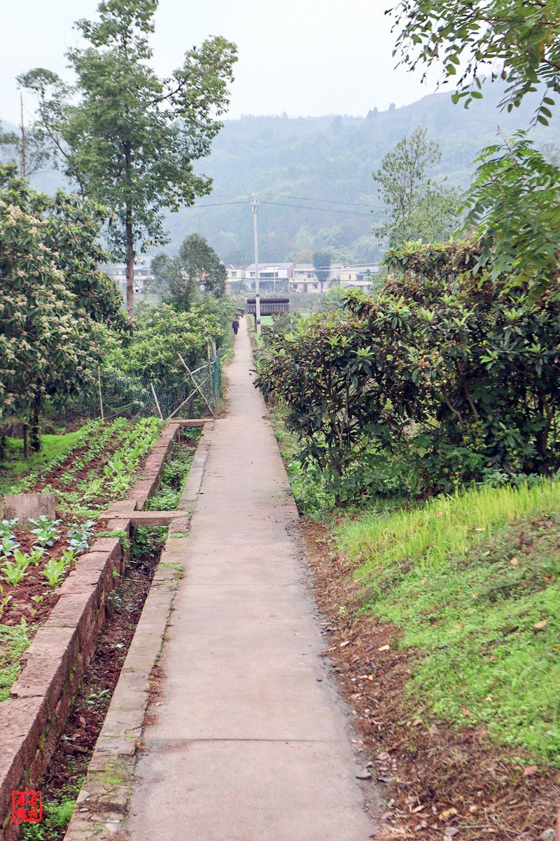 家人随拍——农家乐（2）